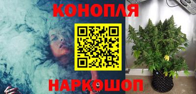 PSILOCYBIN Краснодар