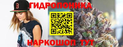 PSILOCYBIN Краснодар